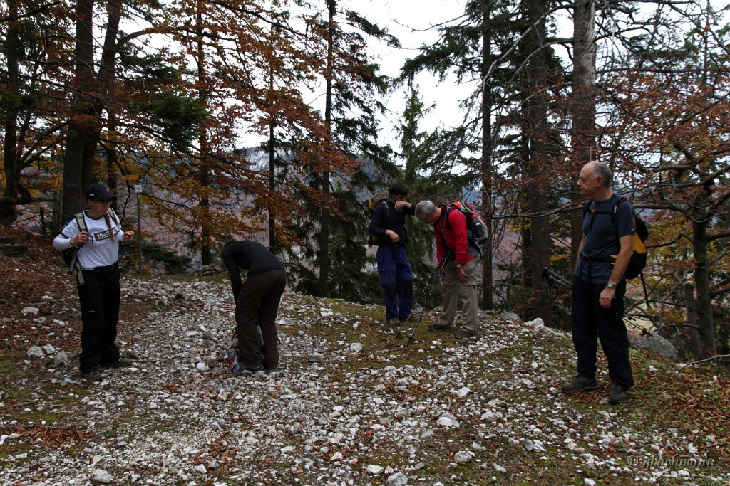 20101030_268